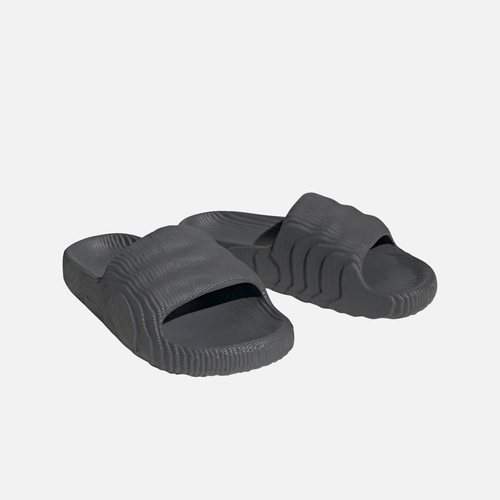 Adilette 22 HP6522