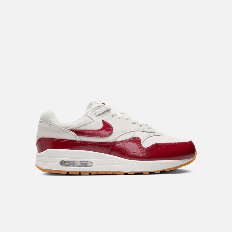 Air Max 1 LX FJ3169 100