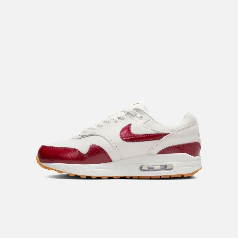 Air Max 1 LX FJ3169 100