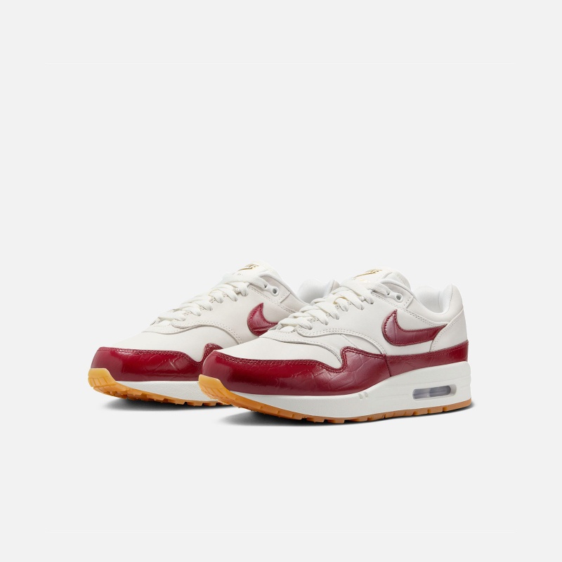 Air Max 1 LX FJ3169 100