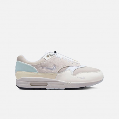 Nike Air Max 1 Premium DZ5317-121 | 4Elementos