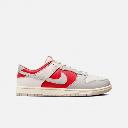 Nike Dunk Low Retro HJ9093-030 | 4Elementos