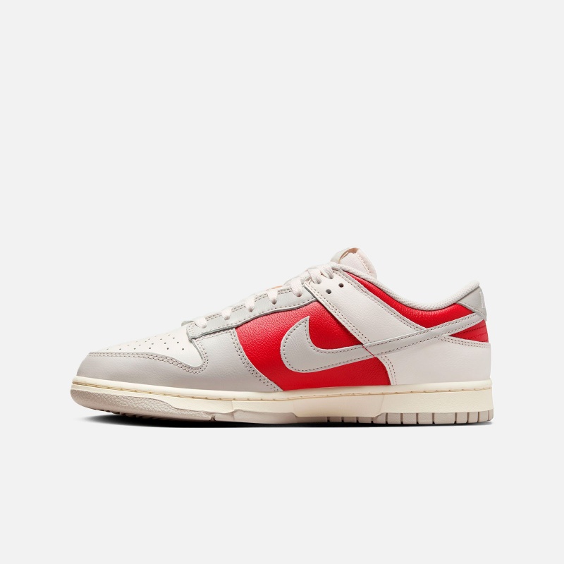 Dunk Low Retro HJ9093 030