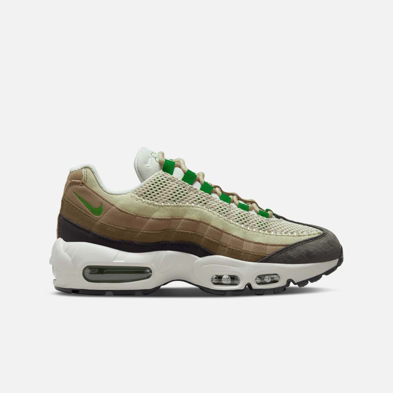 DV3450 300 Air Max 95 Earth Day