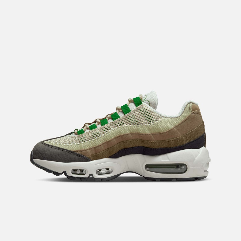 DV3450 300 Air Max 95 Earth Day