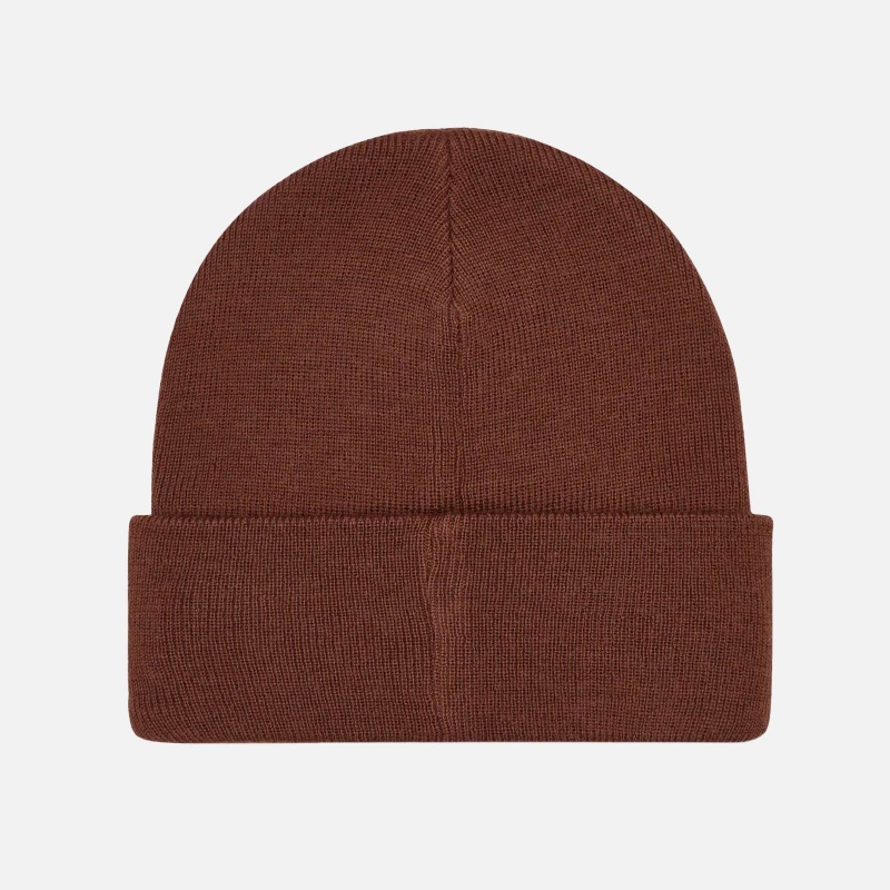 Big Logo Beanie Knit PACC11K007 BWN