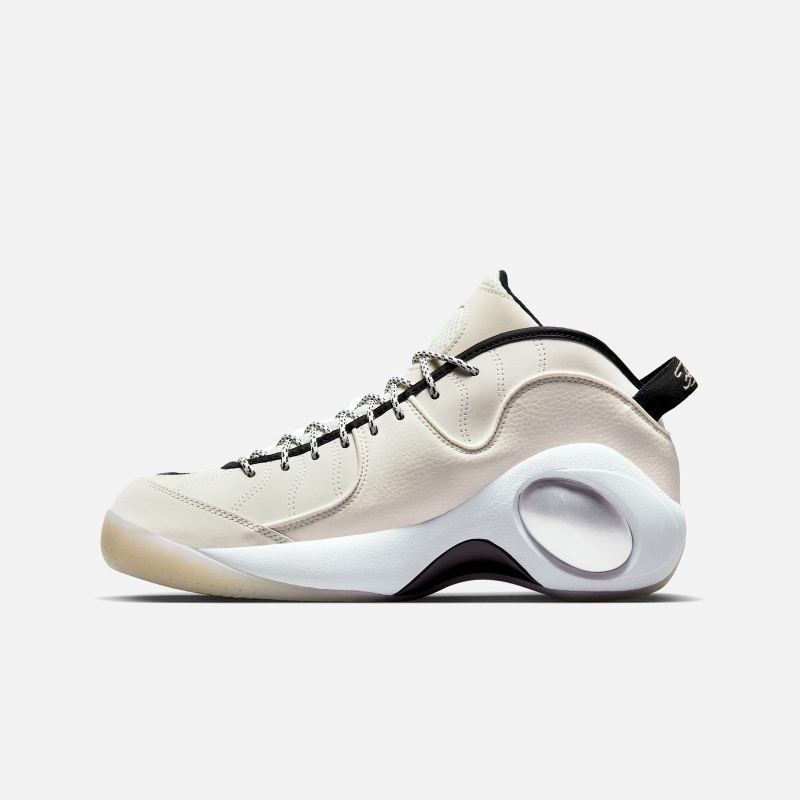 Air Zoom Flight 95 DX5505 100