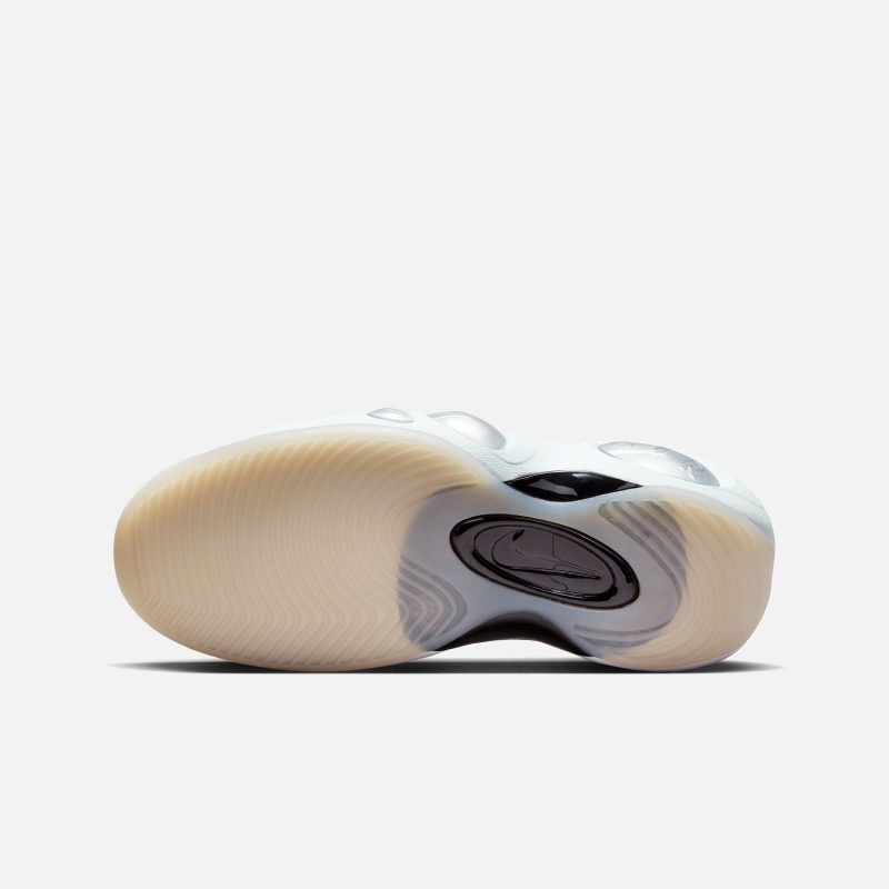 Air Zoom Flight 95 DX5505 100