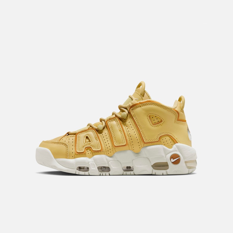 Nike W Air More Uptempo DV1137 700