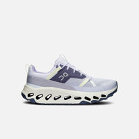 In esecuzione Cloudhorizon 3WE10012308