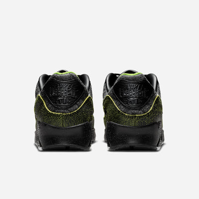 Air Max 90 Tiempo IU0523 010