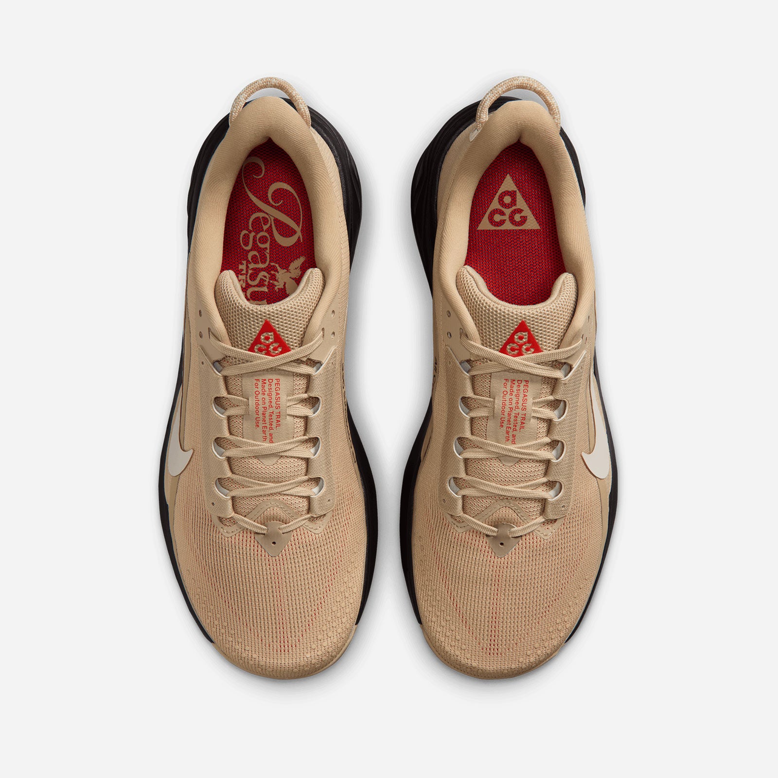 ACG Pegasus Trail HV8116 203