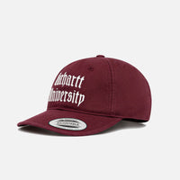 Cappello da scolarizzazione CARHARTT W.I.P. I035629.3DV.XX