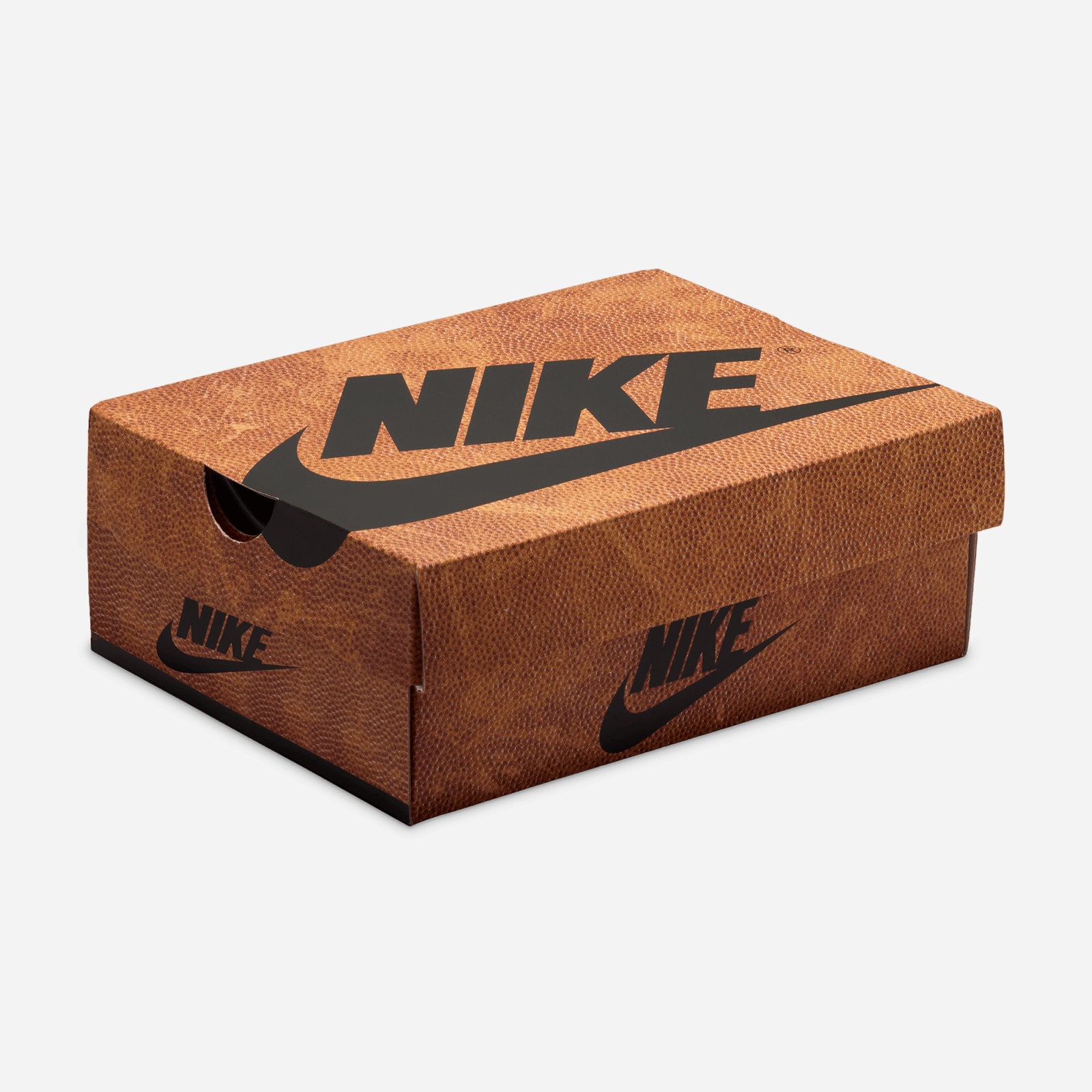 Jordan 1 Retro High OG FD1412 201